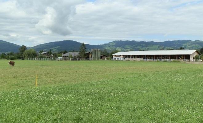 Villa Steigmatt Bauernhof- Erlebnis à Montlingen Extérieur photo